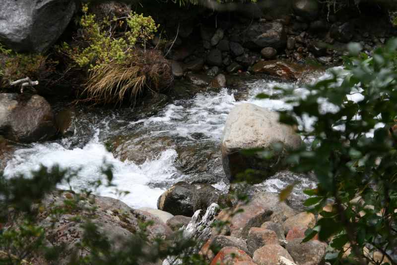Nieuw-Zeeland 2011 - 0842